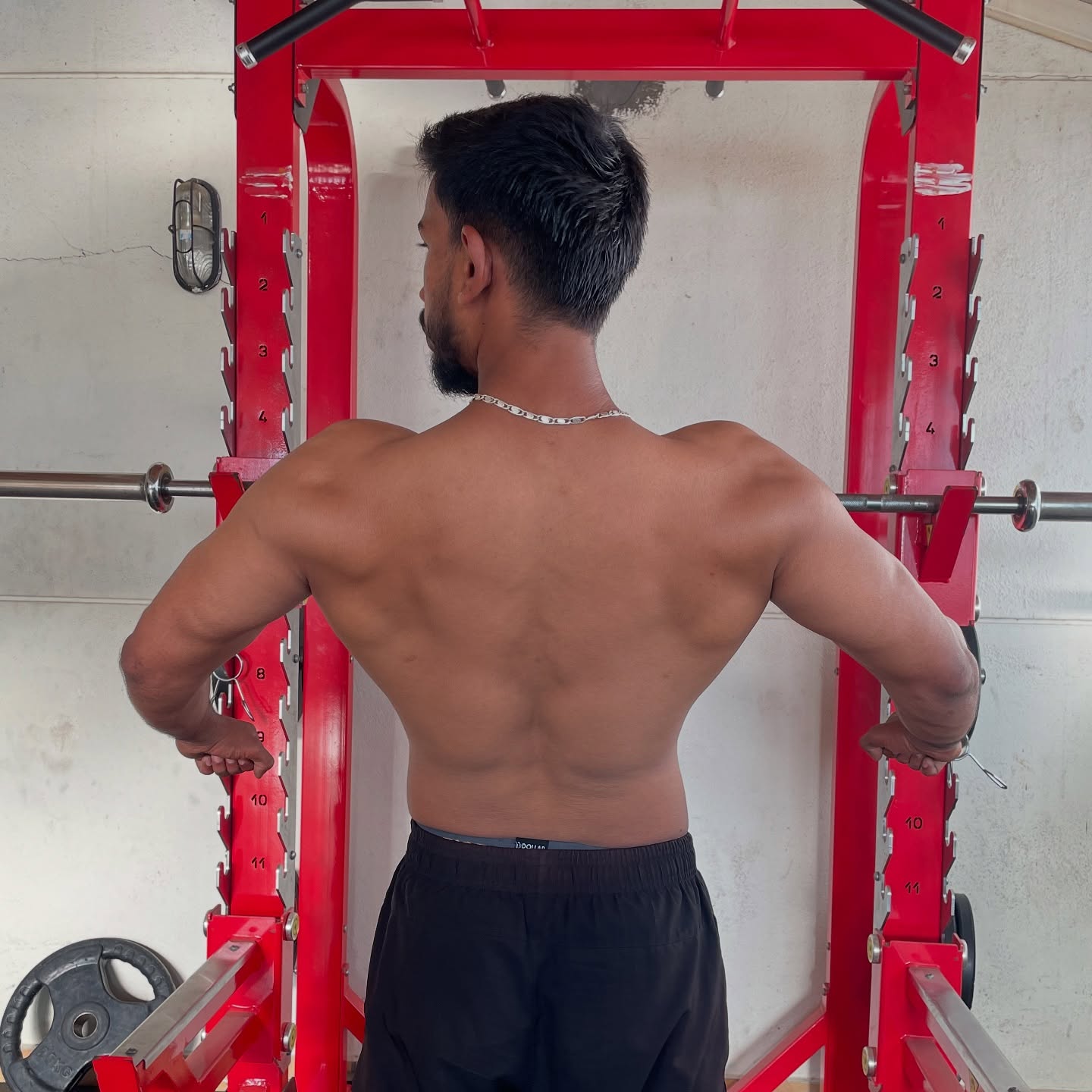 Dumbbell & Free Weights
